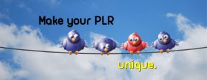 Make your PLR unique