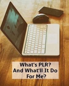 What's PLR and what'll it do for me?