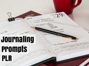 Some journalers and would-be journalers get stuck staring at a blank page in their fancy new journal.  How can you help them?  This journaling prompts PLR may be just the nudge your readers need to get over the rough spots and start a journaling practice.
