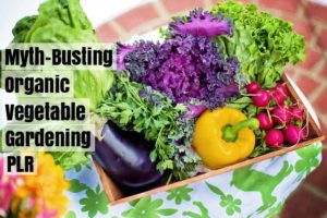 This myth-busting organic vegetable gardening PLR pack can help you wise your readers up so they'll be more successful organic gardeners