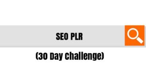 Are you one of those people scared of SEO?  You shouldn't be.  SEO is a crucial way to get your content found.  This 30-day SEO PLR challenge can teach you and help you teach your readers the foundations of SEO.