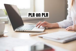 PLR!  I'm going to go way out on a limb here.  I'm going to guess that if you're reading my blog, you are a PLR buyer and user (and maybe a writer, too).  So this PLR on PLR should be right up your alley.