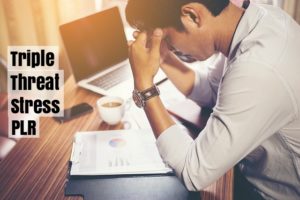 Stress is an excellent topic for blog content for many reasons.  It can be slanted toward a lot of different niches, affects real people's lives, and is easily monetizable.  And conveniently, I've got a huge stress PLR bundle to tell you about.