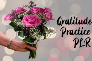 Want to give the gift of gratitude to your readers?  Here's a wonderful gratitude PLR pack for you.