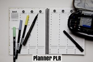 Have you noticed how hot journals and planners are these days?   This planner PLR will help you if you plan to cash in on the planner niche.