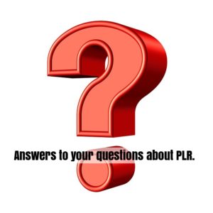 Do you have questions about PLR? .You’re smart to ask them. Knowing all the ways that you can use PLR makes it more valuable. Here are some answers