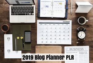 2019 will be here soon.. So let's go ahead and start to plan your blog for next year now. I've got a 2019 Blog Planner PLR pack to tell you all about.