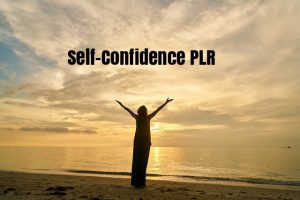 Content marketers can adapt this self-confidence PLR to lots of niches because success depends on your confidence, no matter what you are pursuing in life.